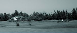 Las Araucarias 2013