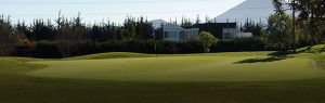 Las Araucarias 2014